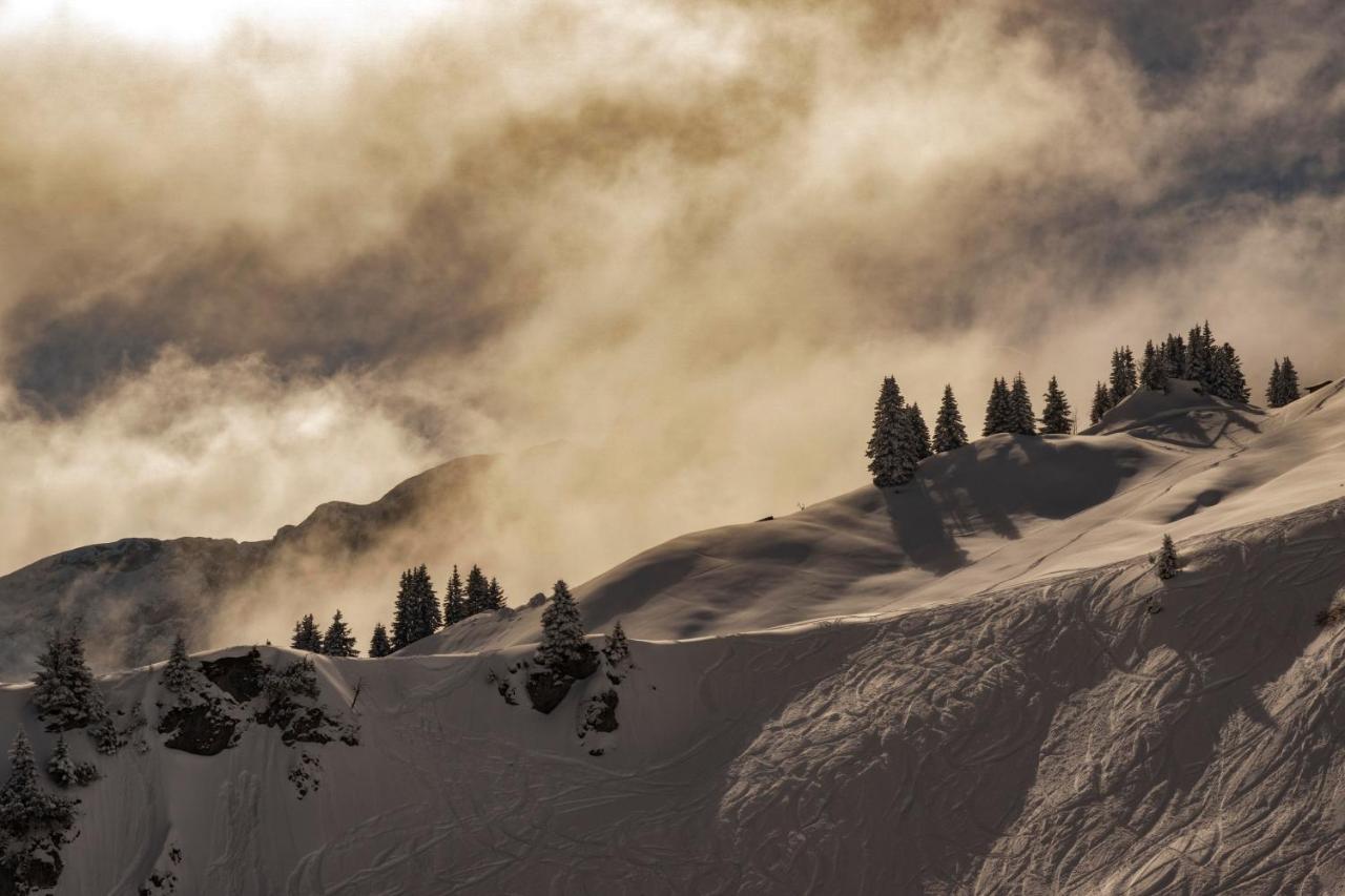 Gori Boutique Apartments - Tirol ロイテ エクステリア 写真