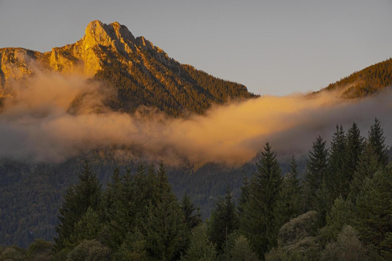 Gori Boutique Apartments - Tirol ロイテ エクステリア 写真