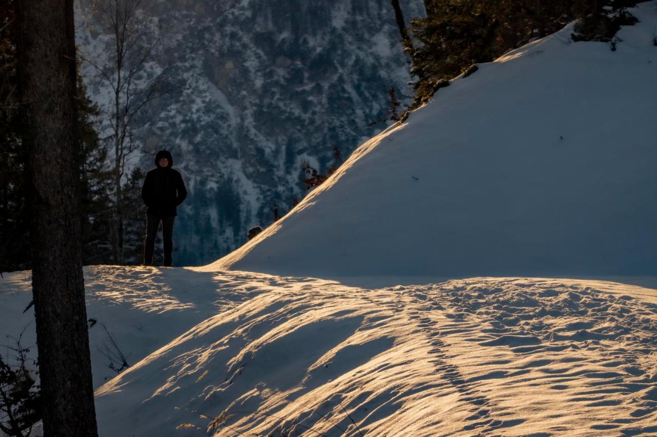 Gori Boutique Apartments - Tirol ロイテ エクステリア 写真